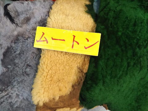 ���[�g��